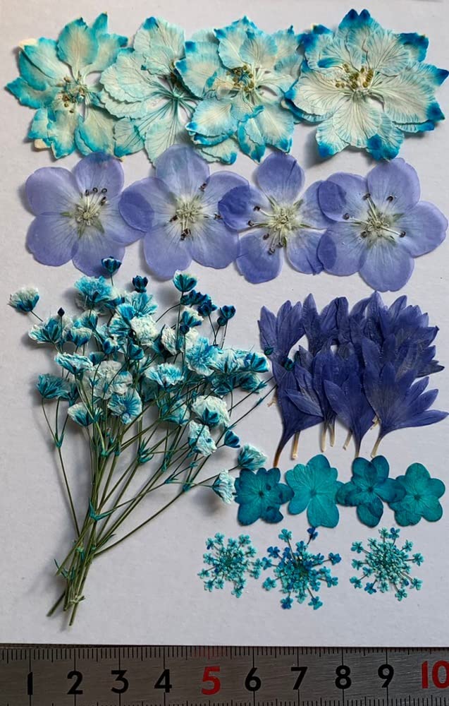 Amazon | 押し花セット カラーMix 押し花 ドライフラワー (ブルー
